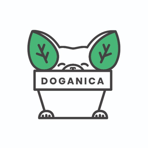 Linia szamponów dla psów Doganica